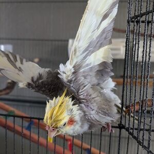 Fast shipping 🏃🏃🏃